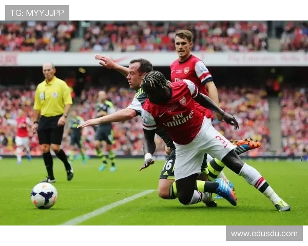 斯托克城足球俱乐部历史回顾与未来发展潜力分析