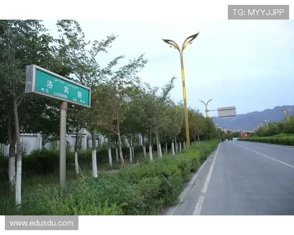 美因茨05俱乐部崛起之路探秘德国足球小城的激情与坚守