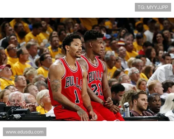 公牛队迎来新赛季挑战 罗斯重返球场加速复兴进程