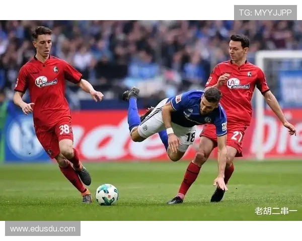 博洛尼亚俱乐部新赛季目标明确 提升球队实力力争欧洲赛场资格