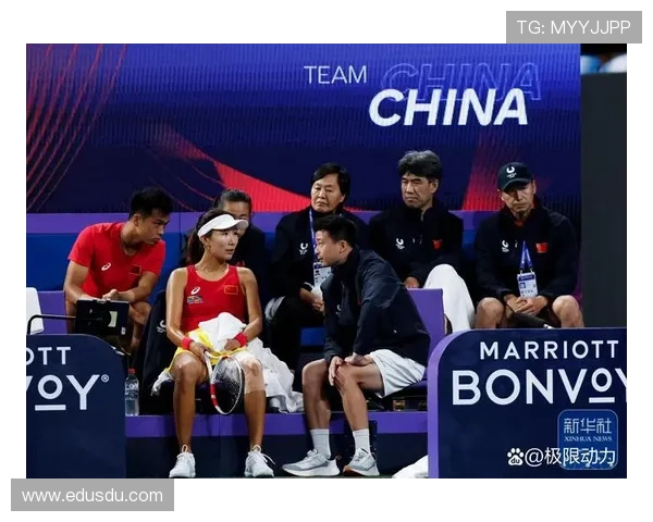 网球赛季收官战焦点对决 多位明星选手争夺年终排名桂冠