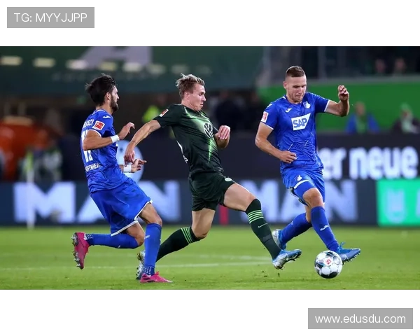 霍芬海姆1899俱乐部全力备战新赛季誓夺德甲佳绩展现青年军风采